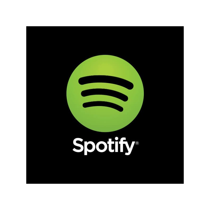 Buy Spotify Premium 3 Months Gift Card Online At Best Price In Nepal Okdam