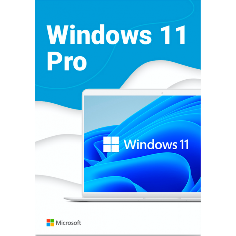 Windows 11 Pro (1PC) License